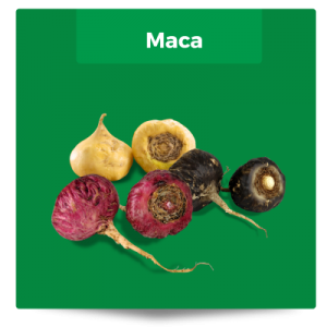 maca-producto