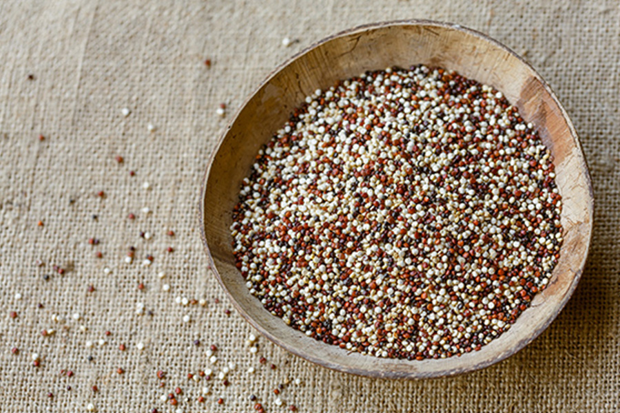 ¿Qué es la quinoa y sus propiedades?